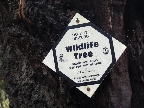 Wildlife Tree sign